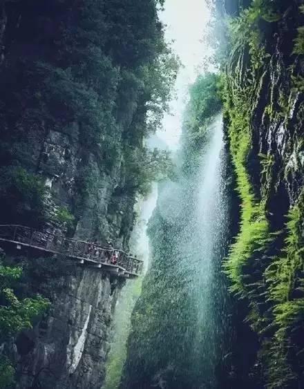 虫虫助手下载